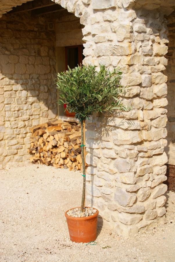 Chez Catharina Oldtimer B&B Levoncourt  Εξωτερικό φωτογραφία